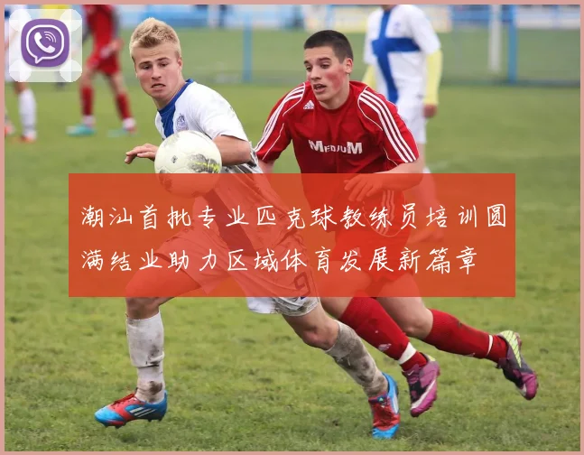 潮汕首批专业匹克球教练员培训圆满结业助力区域体育发展新篇章