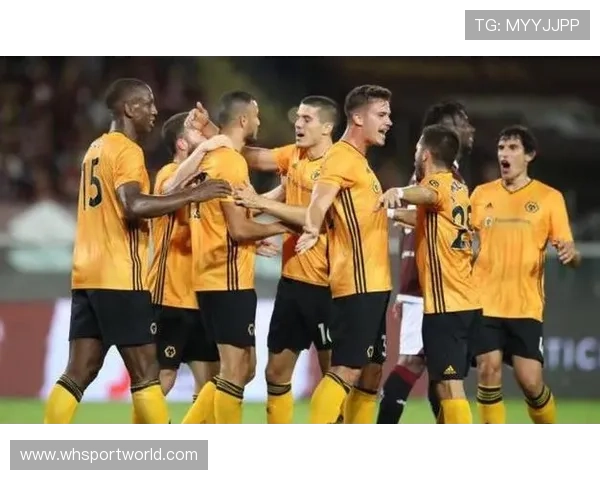 德甲目前存在的中资控股或背景俱乐部名单 德甲目前存在的中资控股或背景俱乐部名单